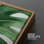 Vert jungle tropicale Monstera feuilles nature sauvage Art moderne rustique coloré Ultra 2 pièces-98109865-98109864
