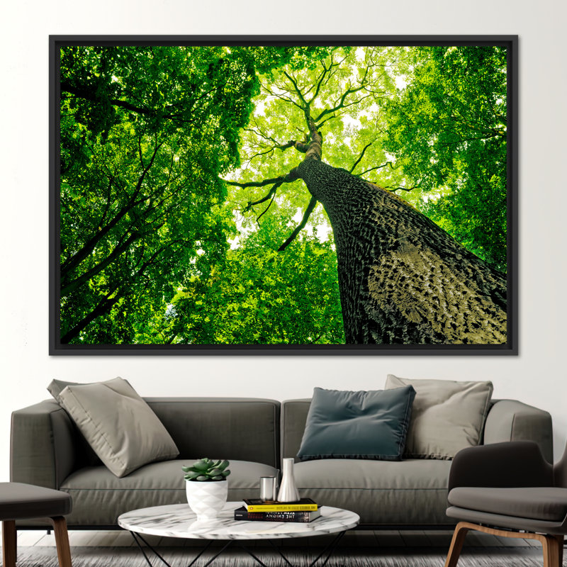 Grand grand arbre majestueux, art mural sur toile - Vibrant Forest, reproduction de photo pour les amoureux de la nature