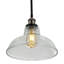 1 - Light Black Pendant
