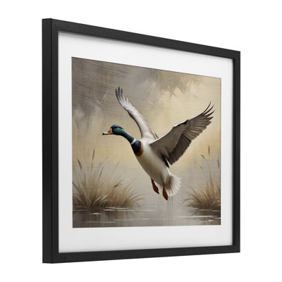 «Glider Mallard over Wetlands», reproduction d'art sous verre encadrée par Susan Arnot