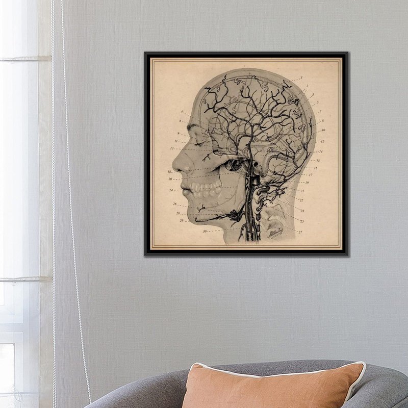 "anatomie of human head" , impression sur toile, H 18 po x l 18 po x P 1,5 po, Toile avec cadre noir, Pas de tapis