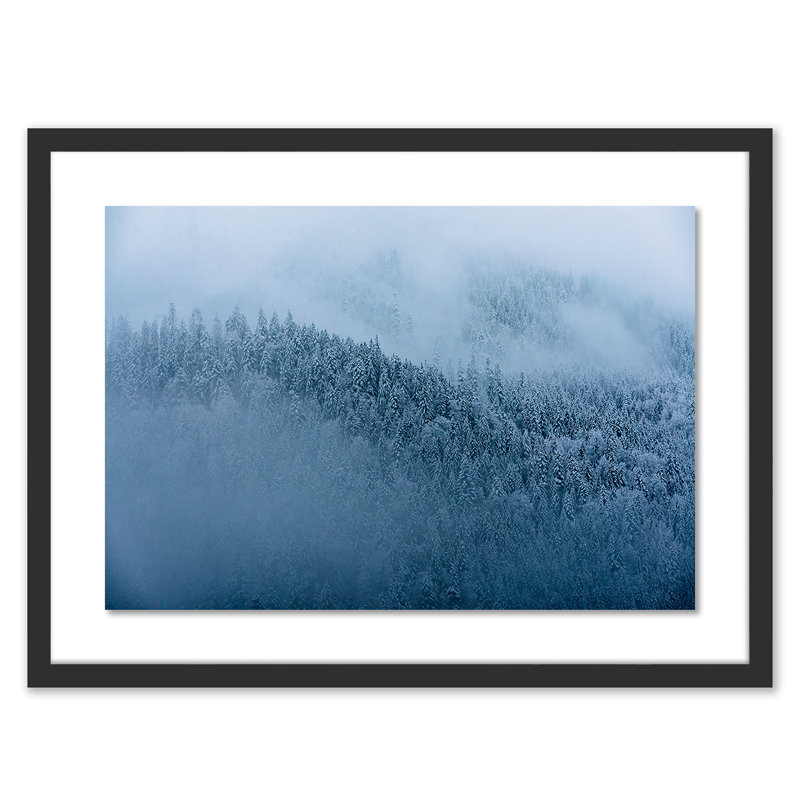 Winter Trees II Print by Michael Schauer, Black, 34" H x 48" W x 2.5" D