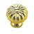 Polished Brass