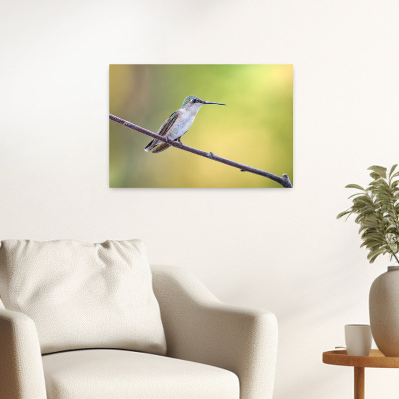 Colibri vert paisible, délicat, paisible et serein, oiseau de la forêt, nature, affiche murale, 16" H x 24" W