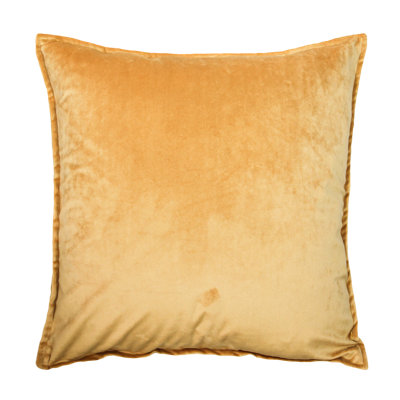 Housse de coussin en velours
