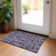 Malchow Washable Damask Indoor / Outdoor Rug