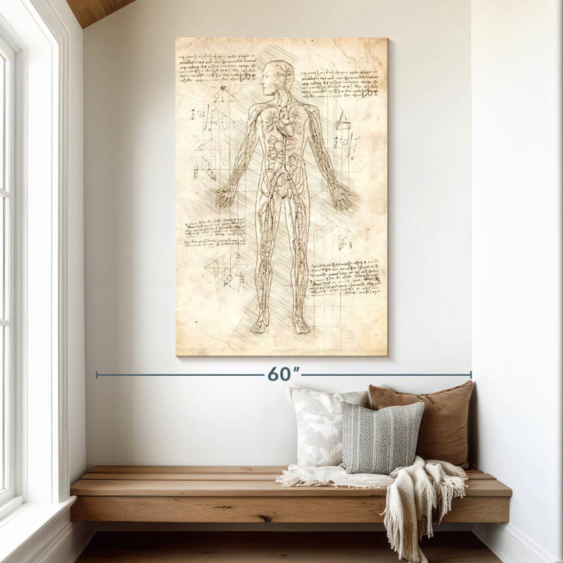 Keiri Human Circulatory System, 51" H x 34" W