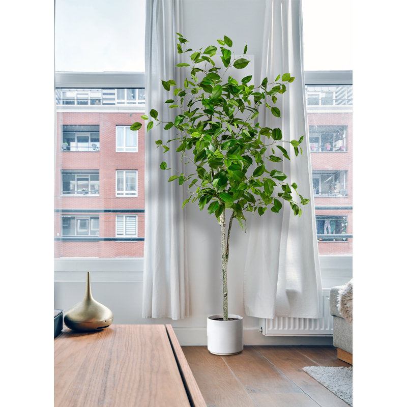 59'' Faux Foliage Tree in Pot