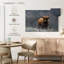 Vache Highland Brampt-108816134
