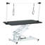 Table de toilettage hydraulique de 43 po pour chien lourd réglable et robuste avec cadre réglable-124863540