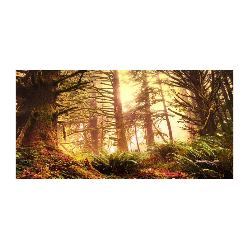 The Rainforest - Wrapped Canvas Print