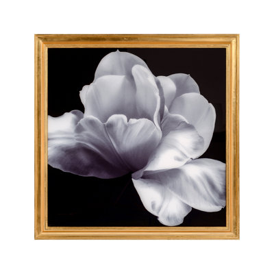 Mark Mcdowell's Shirokuro Print by Mark McDowell