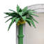 King Palm Mirror-1625301798