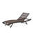 Alejah Outdoor Chaise Lounge Set