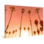 « juste une autre chaude west coast evening », reproduction d’art sur toile tendue-343047325