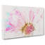 Pink Daisy Flower Watercolour - Wrapped Canvas-56658299