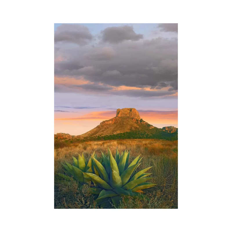 Lechuguilla Agave with Casa Grande in the Distance, Big Bend National Park, Texas 1 Piece Wrapped Canvas Wall Art