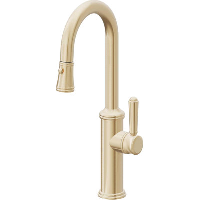 Davoli Pull-Down Prep/Bar Faucet with Button Sprayer
