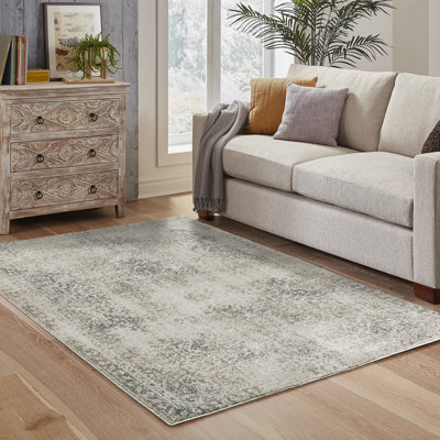 Abryana Oriental Indoor Rug