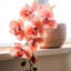 Arrangement floral orchidée papillon