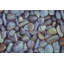 Tapis d'inspiration naturelle antidérapant antidérapant