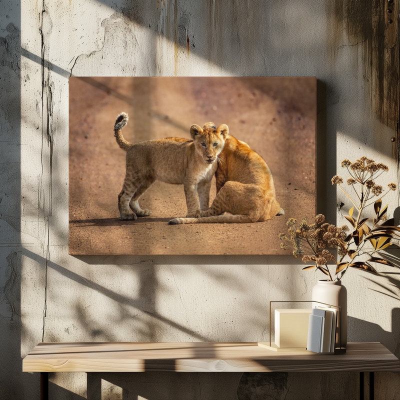 Wrapped Canvas Print, 50.8 cm H x 76.2 cm W