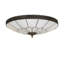6 - Light Flush Mount