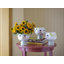 Eva Ceramic Planter