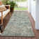 Machine Washable Indoor/Outdoor Xhevrie Sage Rug