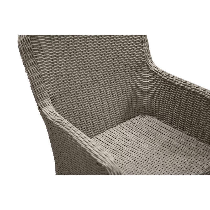 Neerav Outdoor Patio Dining Armchair with Cushion