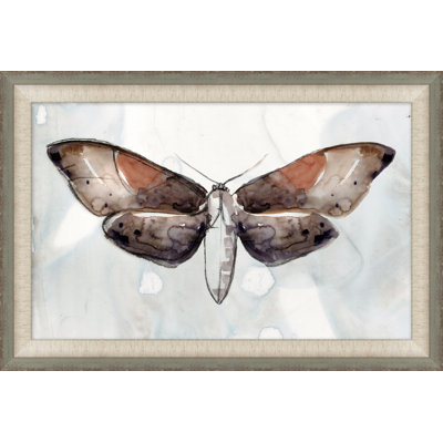 Painted Butterfly Diagram 3 Painting