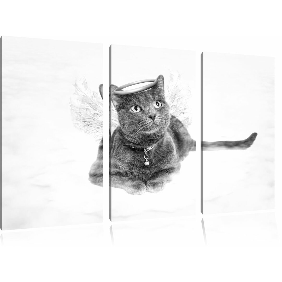 3-tlg. Leinwandbilder-Set „Katzen-Engel auf einer Wolke im Himmel“, Fotodruck