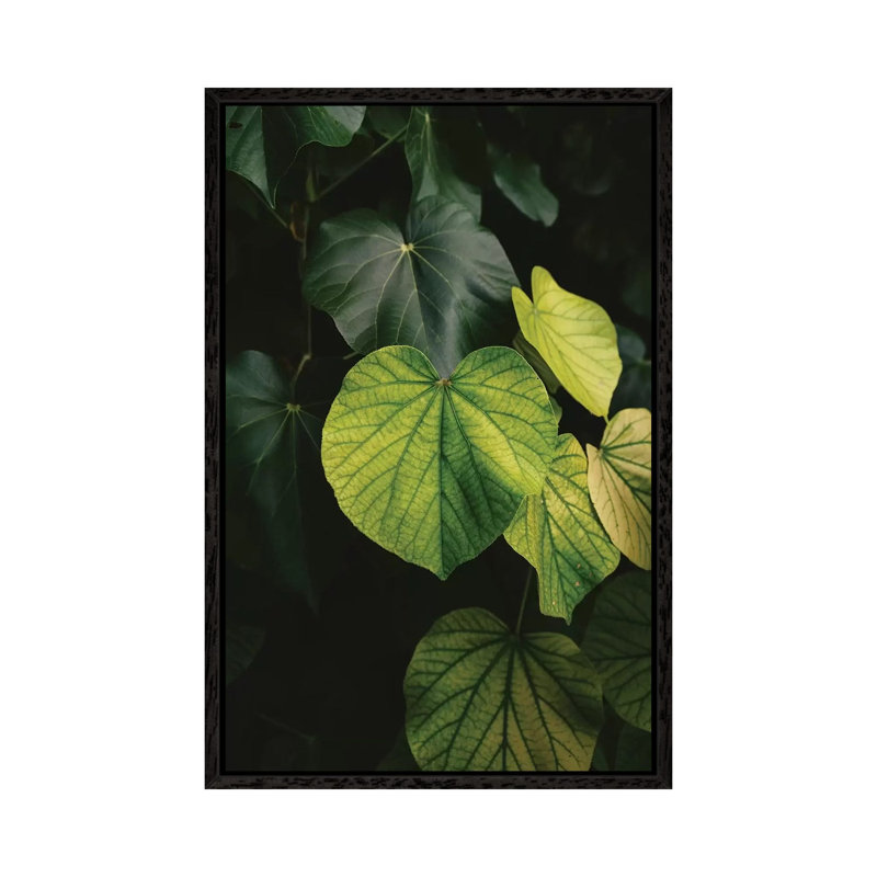 Hawaiian Heart by Bethany Young - Print on Canvas, 101.6cm H x 66.04cm W x 3.81cm D, Black Framed