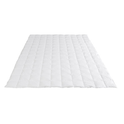 Traum Edition Gold Light Cooling Comforter