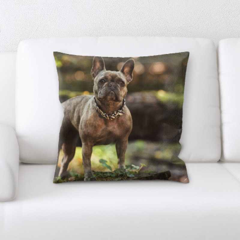 Coussin pour chien