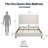 Mozter Upholstered Wingback Platform Bed-1680021528-1680021530