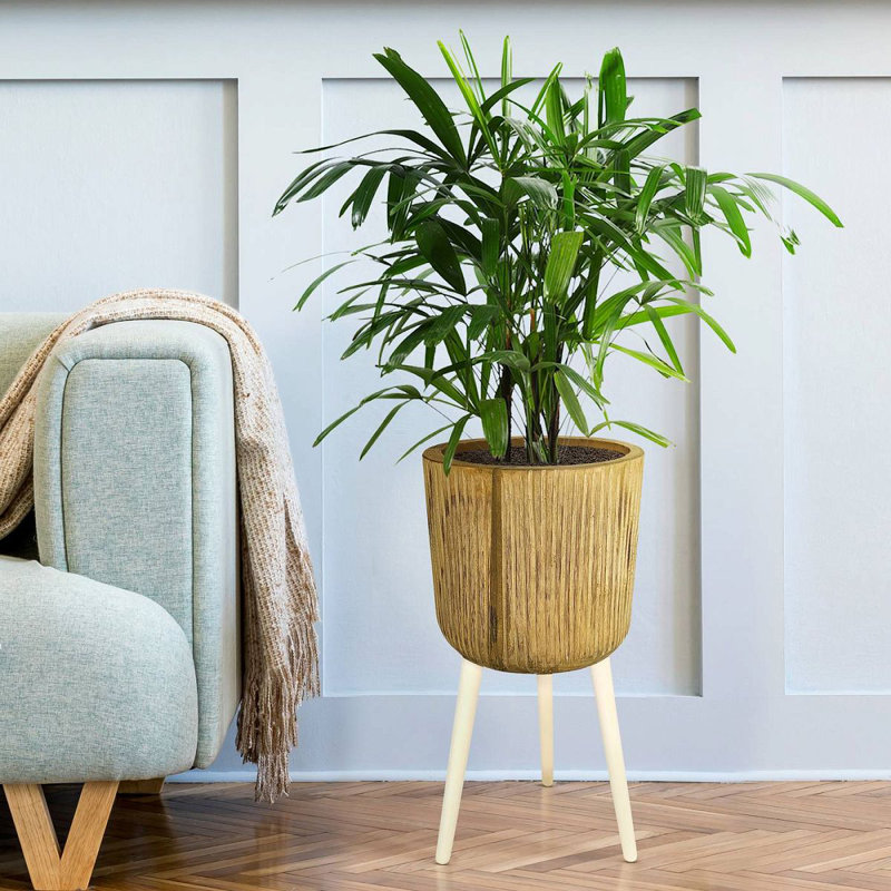 RIBBED Tall Indoor Plant Pot Stand for House Plants with Waterproof Liner | Natural Wooden House Planter with Legs D27 H60 cm, 2.5L