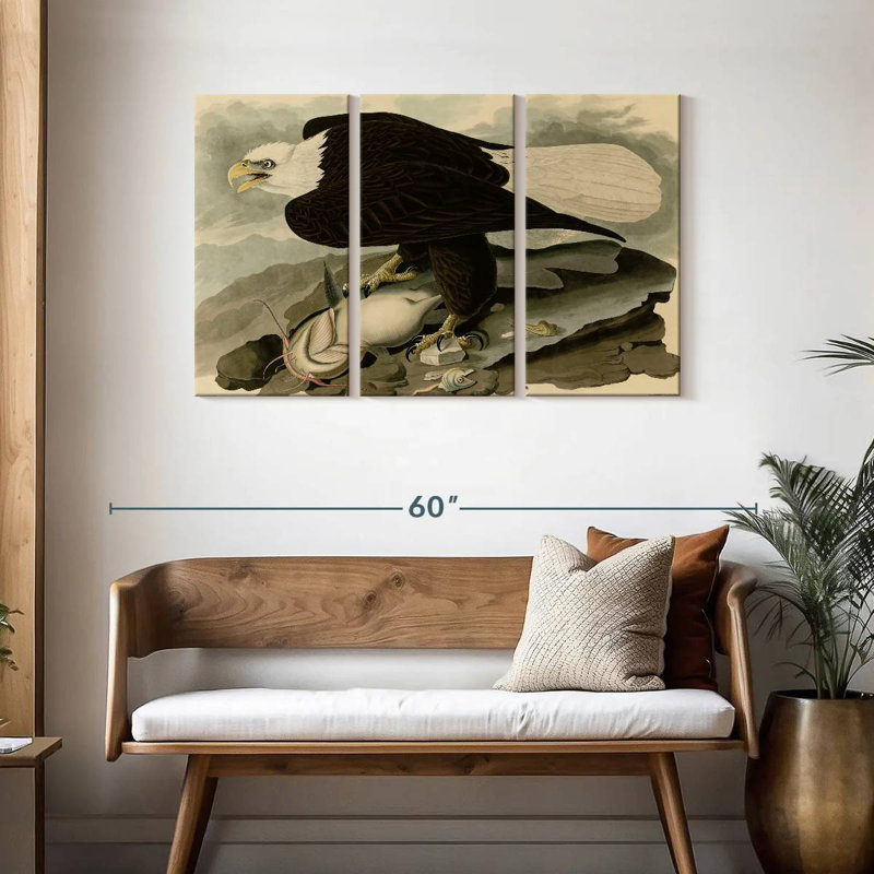 Brampt Whiteheaded Eagle, 28" H x 45" W