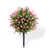 Rose est en rupture de stock