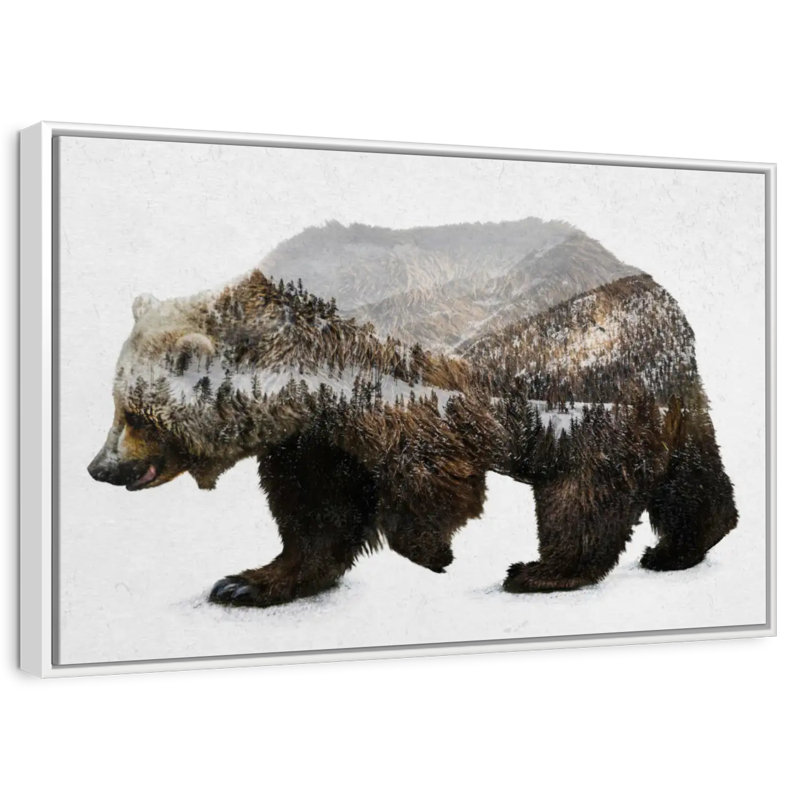 The Kodiak Brown Bear, Floating Frame White, 13" X 9"