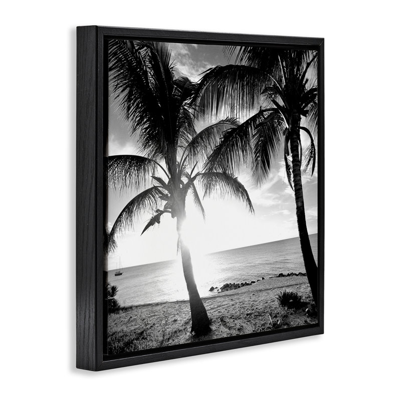 «Sunlit Palm Silhouettes» par Susan Bryant, Cadre flottant noir de jais, H 18 po x l 18 po