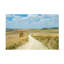 «Santiago De Compostela Pilgrimage 165» par Ben Heine, reproduction de photo sur toile tendue-1068782399