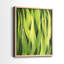 «Blades of Grass I», reproduction encadrée de qualité supérieure - prête à être accrochée - aucun clou requis - aucun clou requis-16795718-16795715