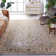 Newfields Oriental Hand-Tufted Wool Beige/Grey Area Rug