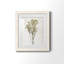Farmhouse Pressed Flower II - peinture encadrée-1572627894-1572627889