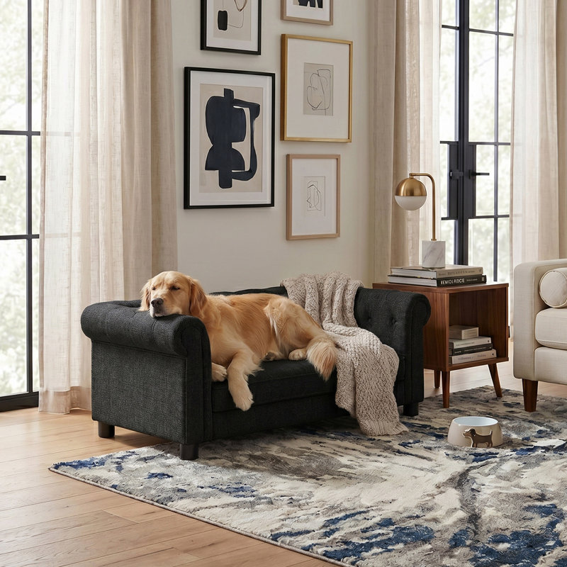 Lit pour chien Malcolm Elegant Rectangle, Noir