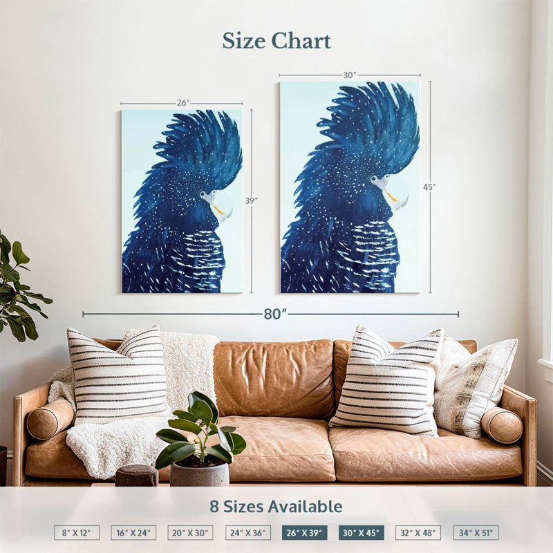Brampt Pablo The Black Cockatoo, 39" H x 26" W
