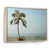 Cadre naturel flottant