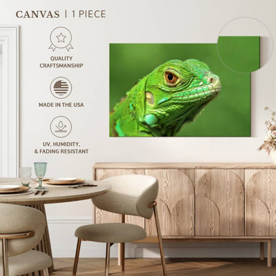 Green Lizard Closeup