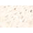 Steinhoff Cowhide Southwestern Indoor Rug